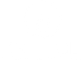 rzlogo_foc2_path2.png